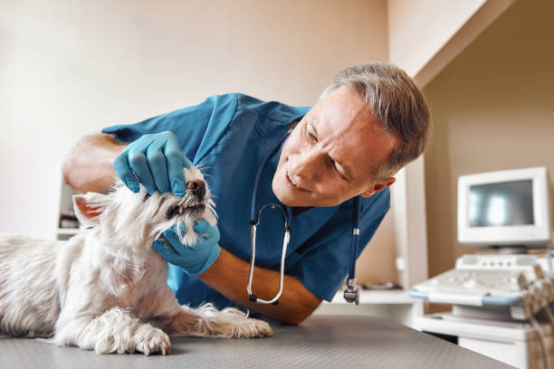 Best Emergency Dentist for Special Needs Patients in Hartwell, GA