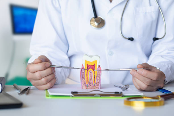 Best Pediatric Emergency Dentist in Hartwell, GA